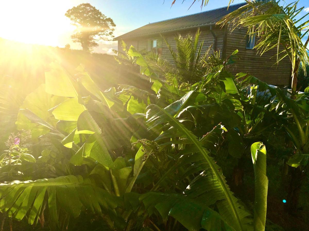 Azores Casa Atlantis Holiday home *